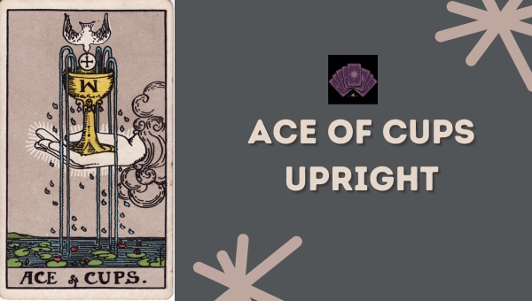 Ace of Cups Upright