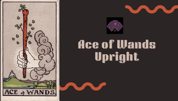 Ace of Wands Upright