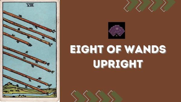 Eight of Wands Upright