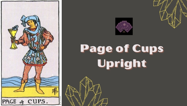 Page of Cups Upright