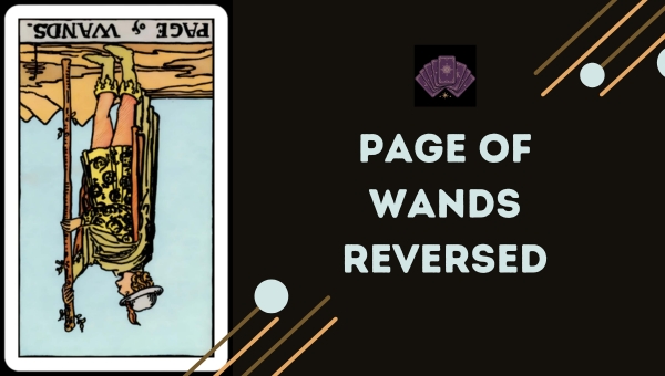 Page of Wands Reversed