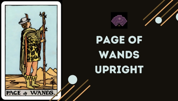 Page of Wands Upright