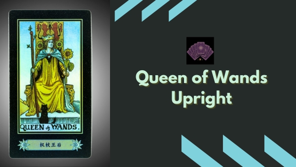 Queen of Wands Upright