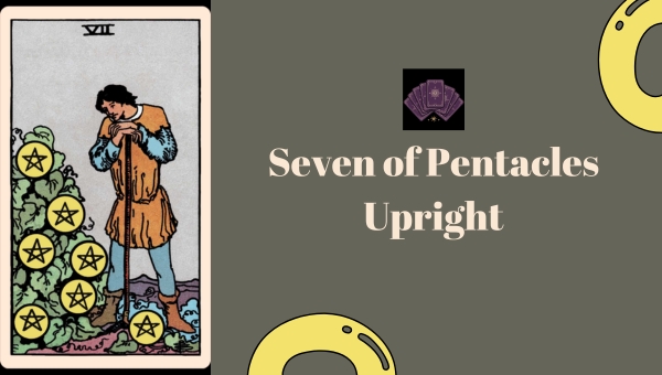 Seven of Pentacles Upright